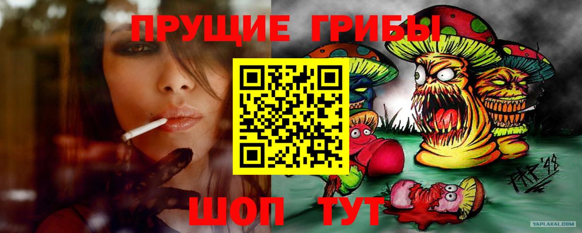 Псилоцибиновые грибы мухоморы Губаха