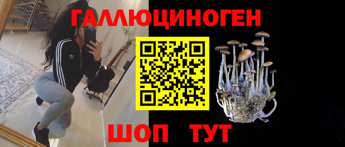 Губаха  Псилоцибиновые грибы прущие грибы  купить наркоту  Вход с VPN  Галлюциногенные грибы мухоморы 